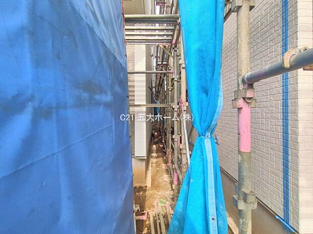 撮影日:2025/10/29