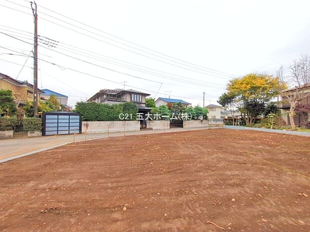 撮影日:2025/11/13