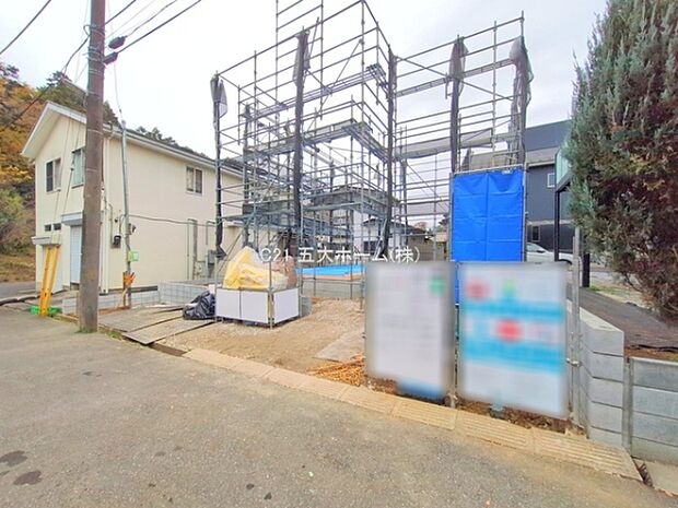 撮影日:2025/11/25