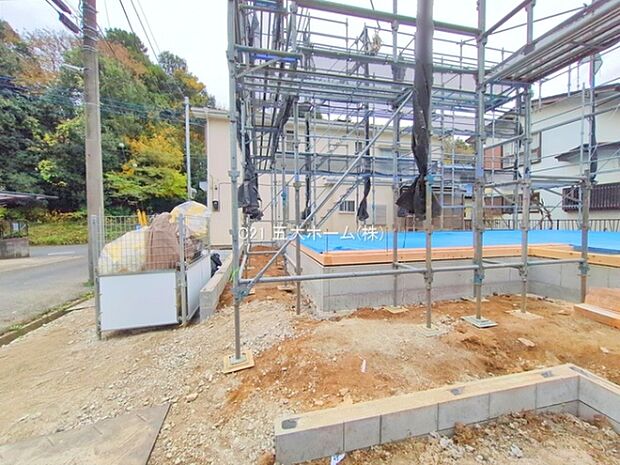 撮影日:2025/11/25