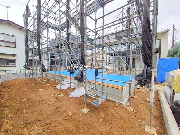 撮影日:2025/11/25