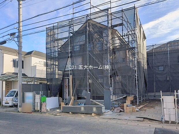 撮影日:2026/01/28