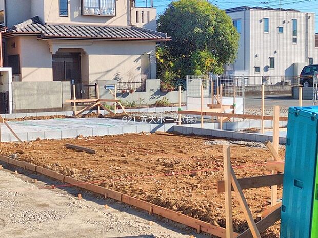 撮影日:2025/11/28