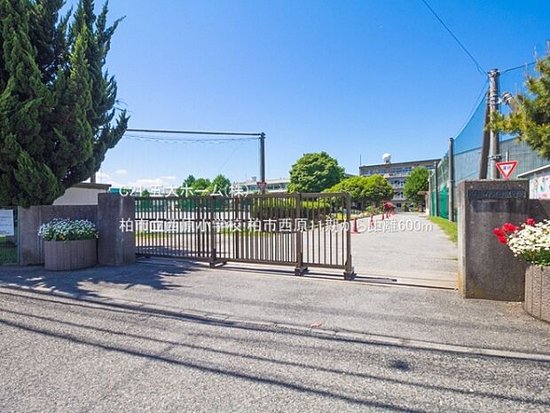 柏市立西原小学校まで800m、撮影日:2022/05/03　600　柏市立西原小学校