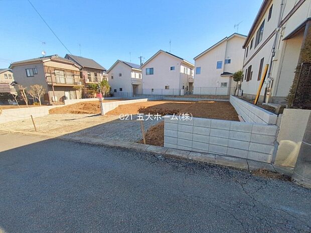 撮影日:2026/02/19