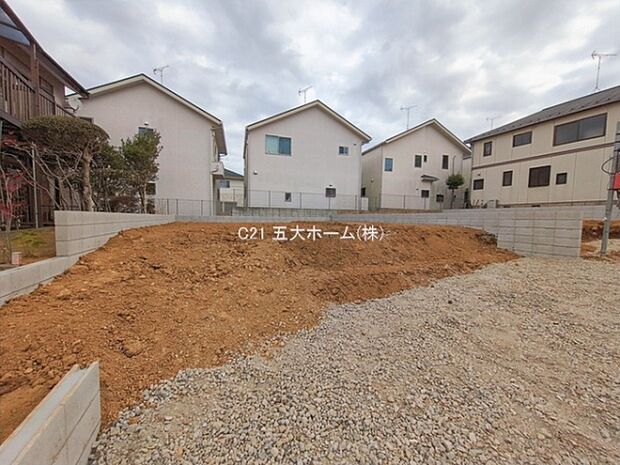 撮影日:2026/01/28