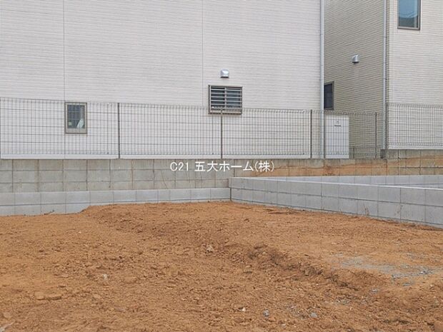 撮影日:2026/01/28