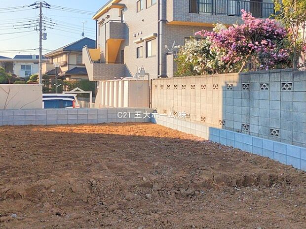 撮影日:2025/12/11