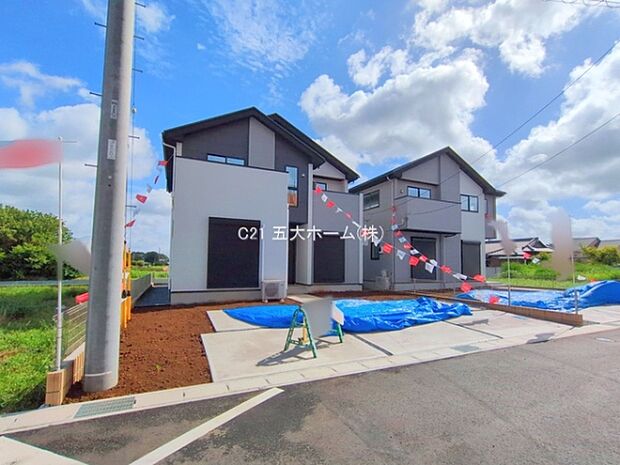 撮影日:2025/07/17