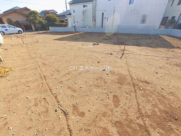 撮影日:2026/01/15