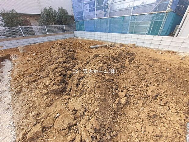 撮影日:2026/01/19