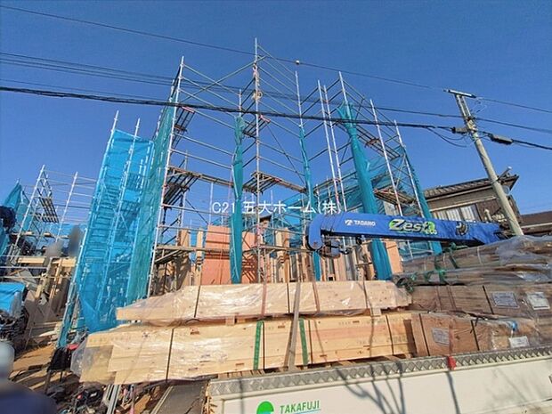 撮影日:2026/01/27