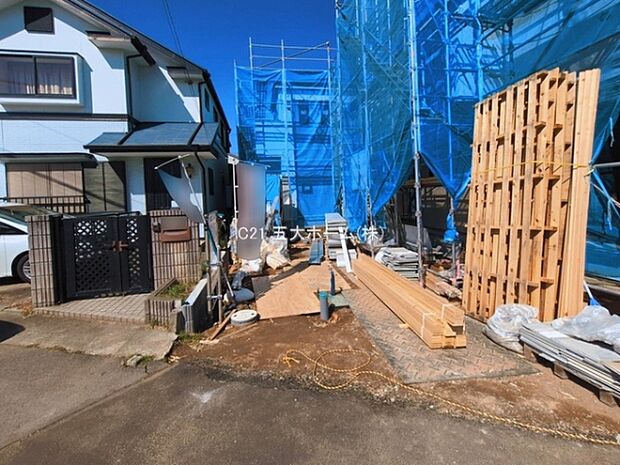 撮影日:2026/03/11