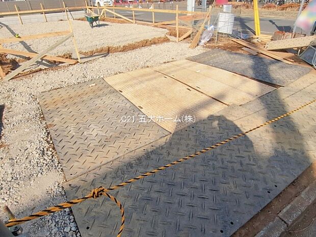 撮影日:2026/01/26