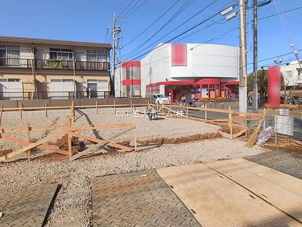 撮影日:2026/01/26