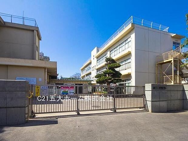 柏市立光ケ丘小学校まで1089m