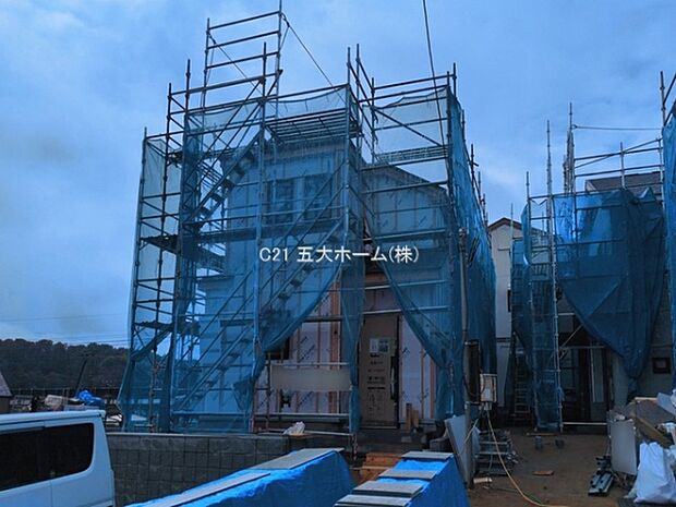 撮影日:2026/03/10