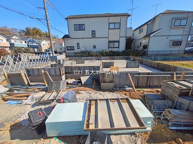 撮影日:2026/01/29