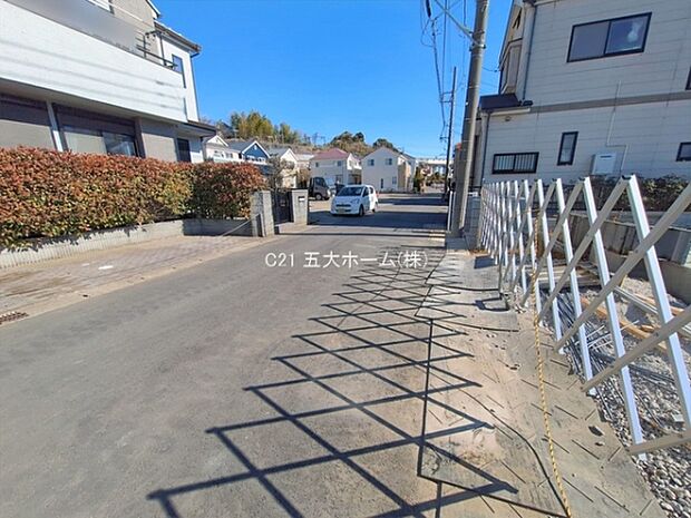 撮影日:2026/01/29