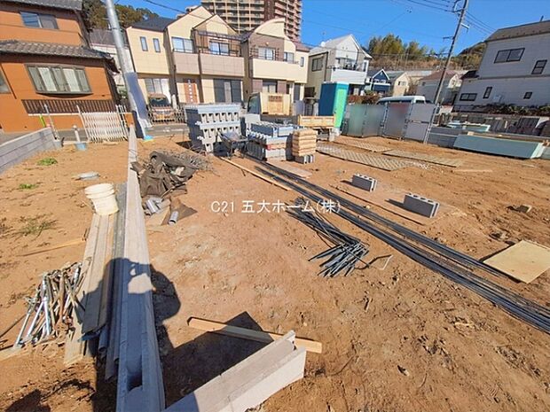 撮影日:2026/01/29