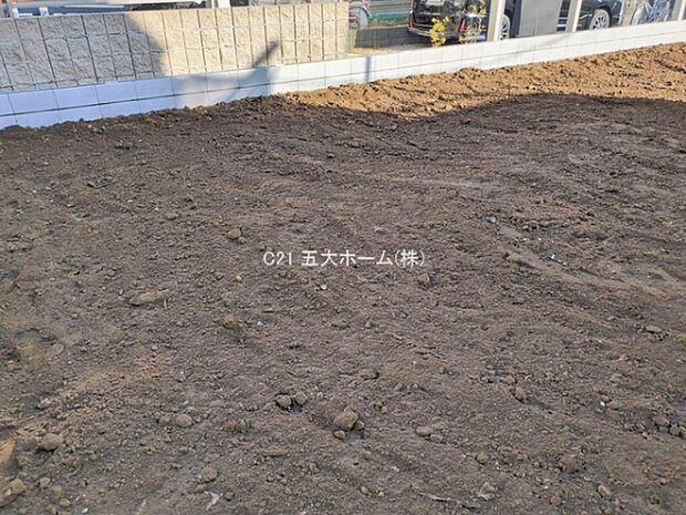 撮影日:2026/01/28