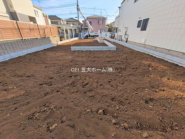 撮影日:2026/01/28