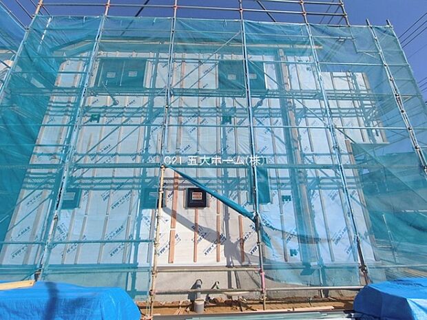 撮影日:2026/01/26