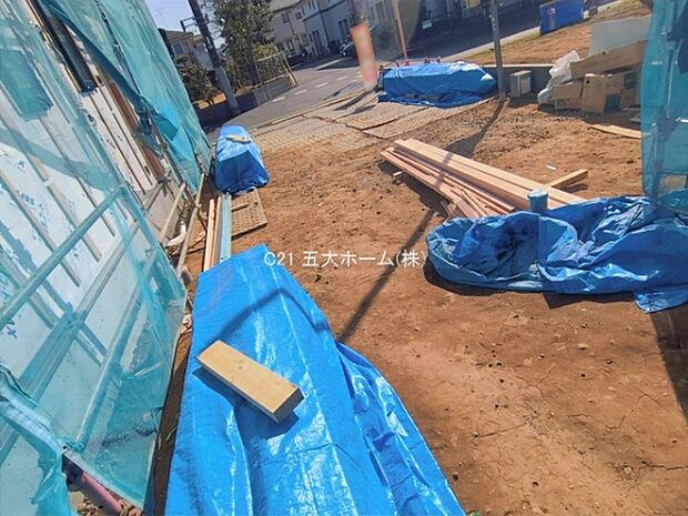 撮影日:2026/01/26