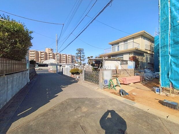 撮影日:2026/01/27