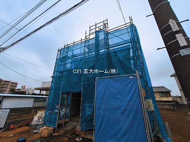 撮影日:2026/03/10