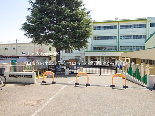 流山市立向小金小学校まで850m、撮影日:2021/03/17　240　流山市立向小金小学校