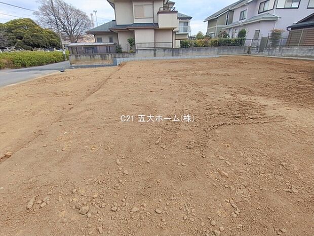 撮影日:2026/01/19