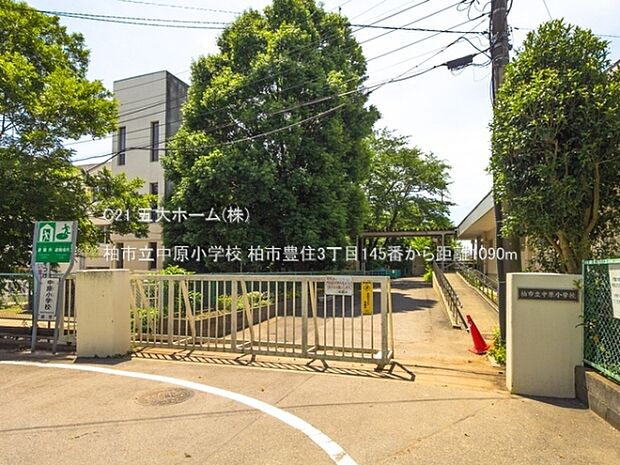 柏市立中原小学校まで1090m、撮影日:2022/06/13　1090　柏市立中原小学校