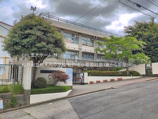 松戸市立根木内中学校まで800m、撮影日:2026/05/28 560 松戸市立根木内中学校