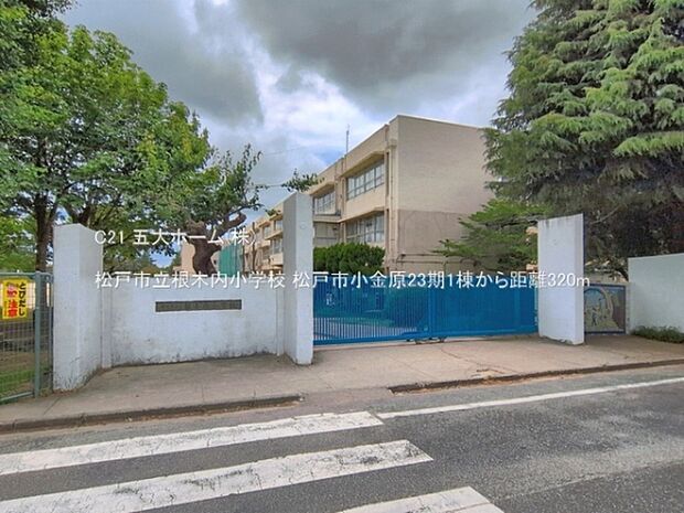 松戸市立根木内小学校まで1300m、撮影日:2026/05/28 320 松戸市立根木内小学校