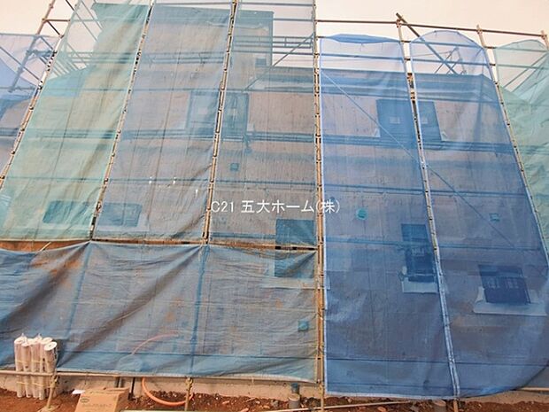 撮影日:2026/01/20