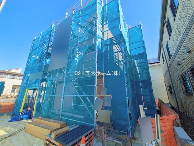 撮影日:2026/02/19