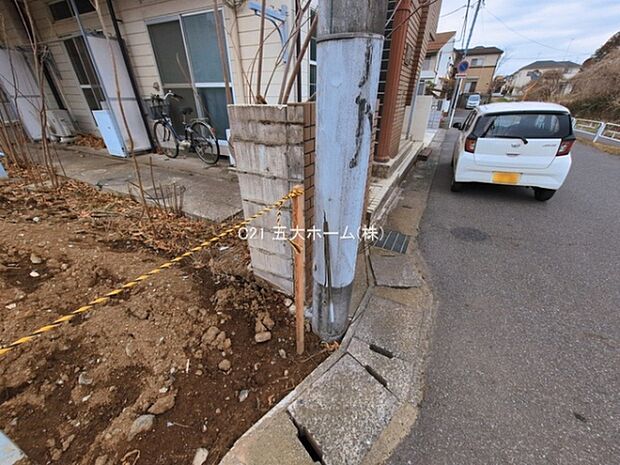 撮影日:2026/03/06