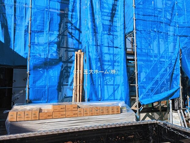 撮影日:2026/03/11