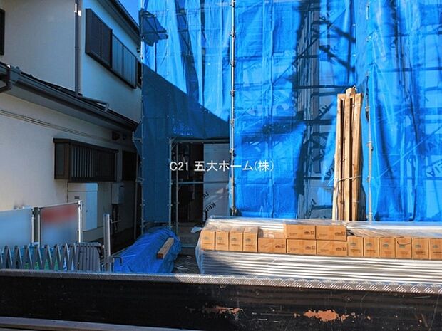 撮影日:2026/03/11