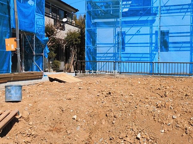 撮影日:2026/03/12