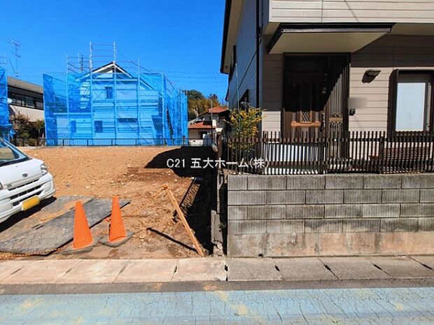 撮影日:2026/03/12