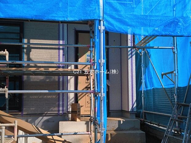 撮影日:2026/03/11