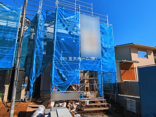 撮影日:2026/03/11