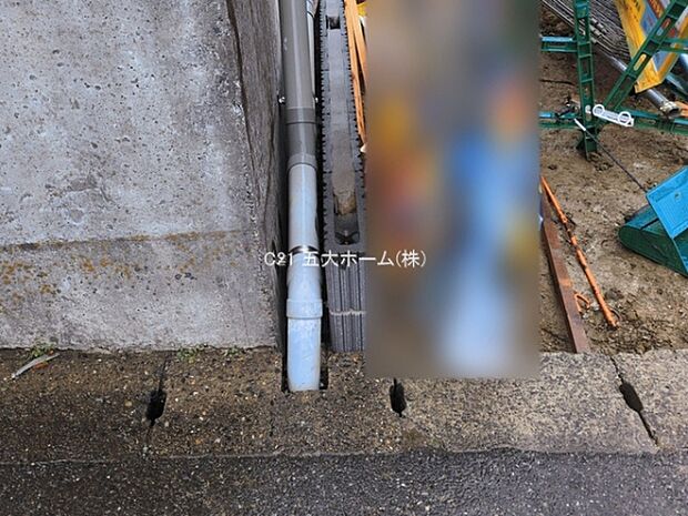 撮影日:2026/03/10