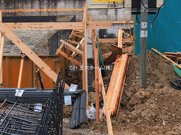 撮影日:2026/03/10