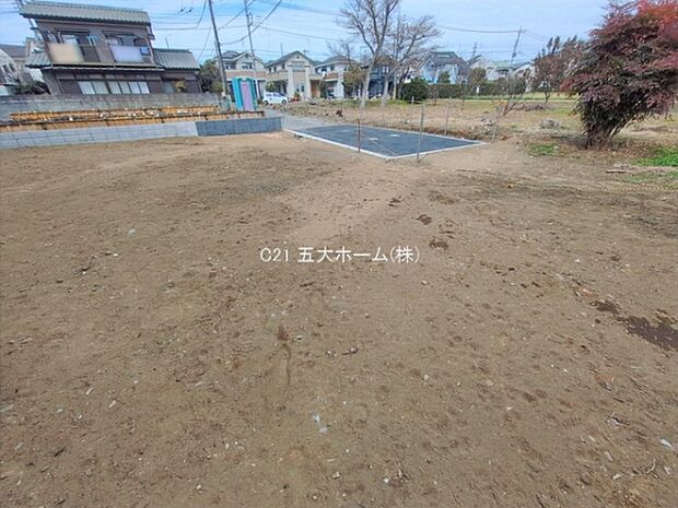 撮影日:2026/02/06