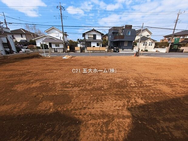 撮影日:2026/03/18