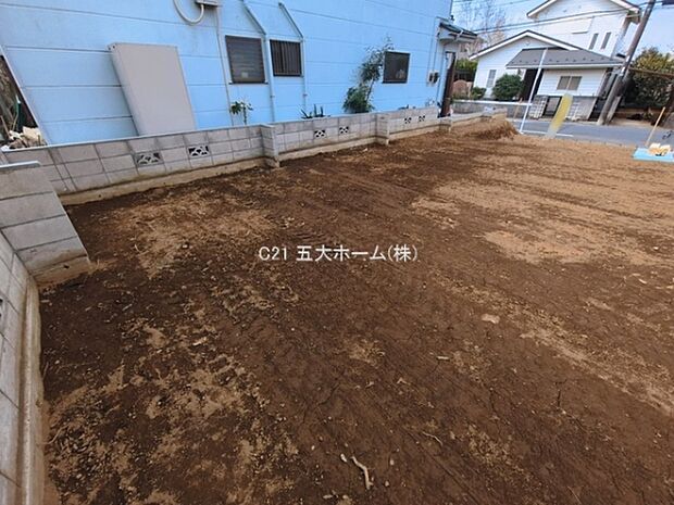 撮影日:2026/03/18