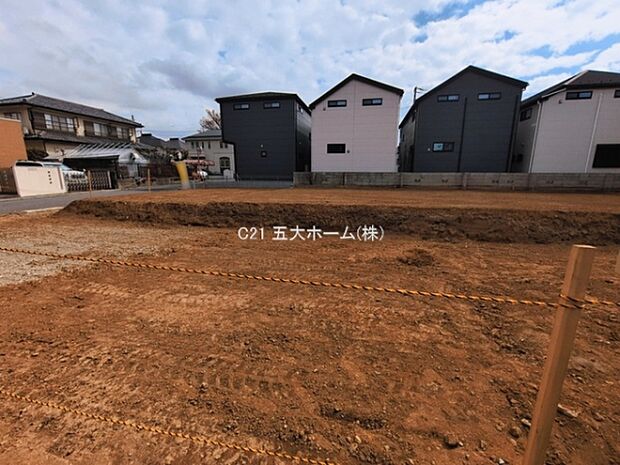 撮影日:2026/03/18